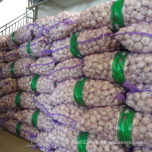 Jining Sinofarm Garlic, 6P Fresh super white garlic export Romania/ Slovenia/ Croatia /Serbia importer for wholesale